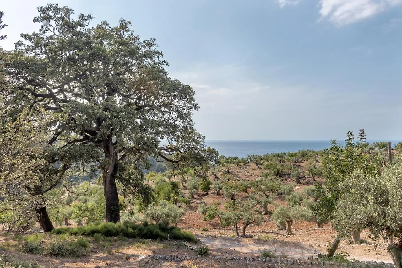 Deia Semi-Detached Sunny Country House, Near Gr221